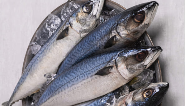 고등어제품(조리전)사진