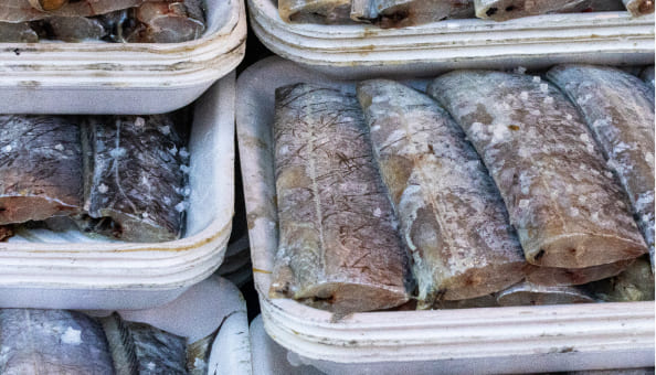 먹갈치제품사진